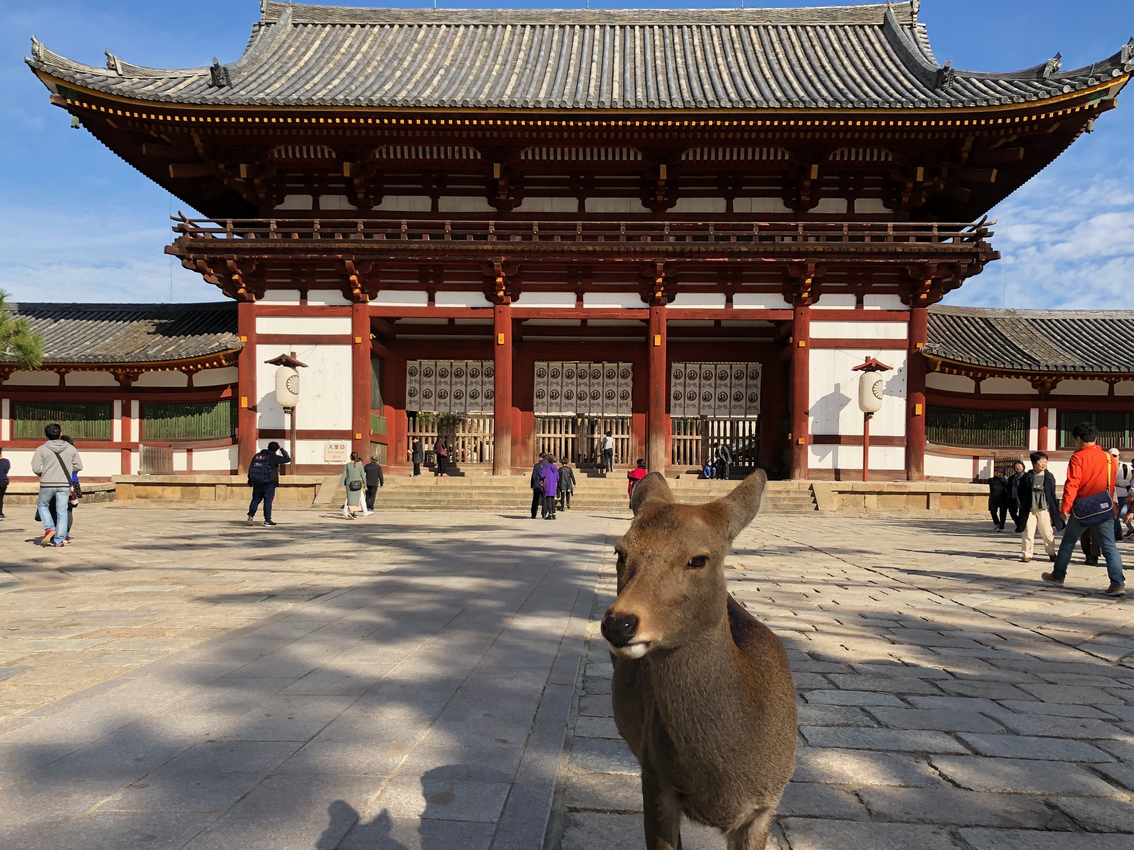 buda-ibaraki